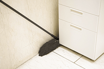 ダスキングランモップ